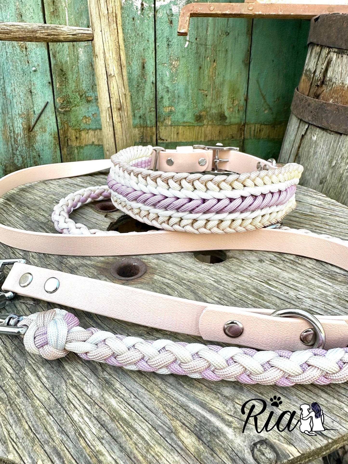 Paracord X Biothane Leine