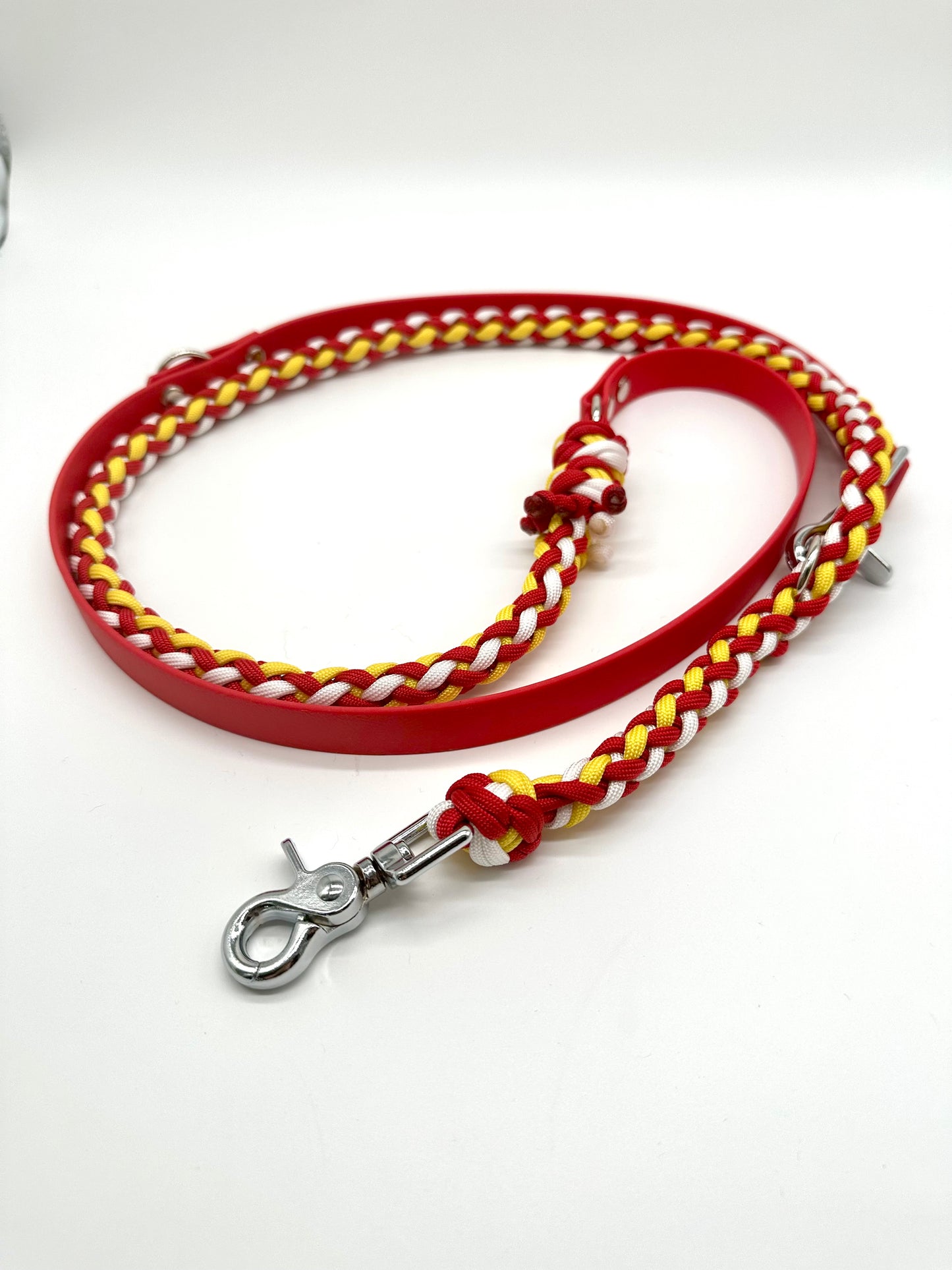Paracord X Biothane Leine