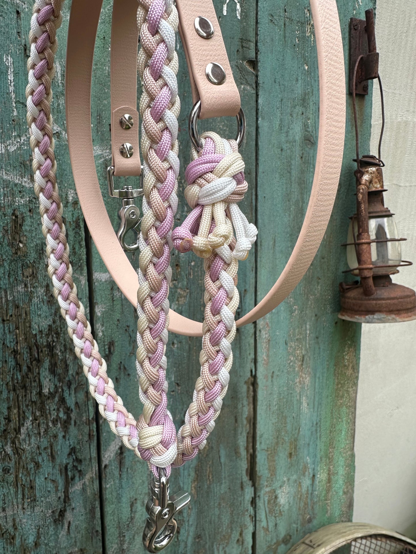 Paracord X Biothane Leine