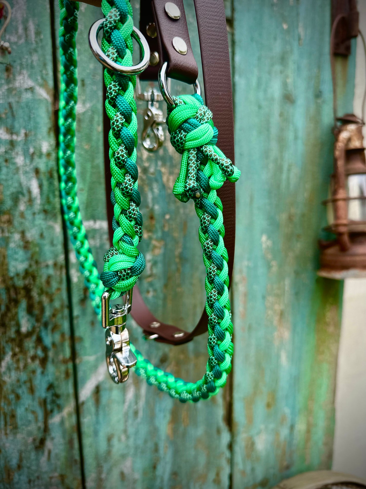 Paracord X Biothane Leine