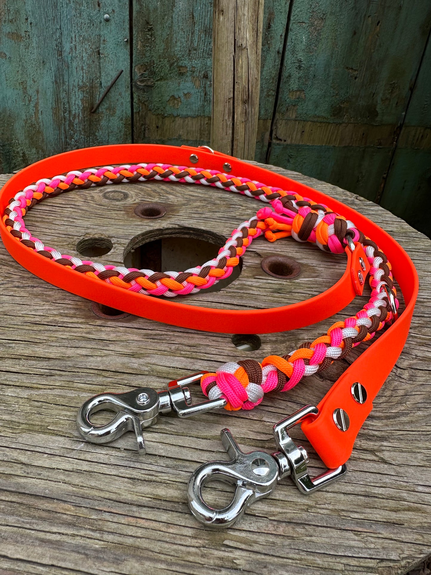 Paracord X Biothane Leine