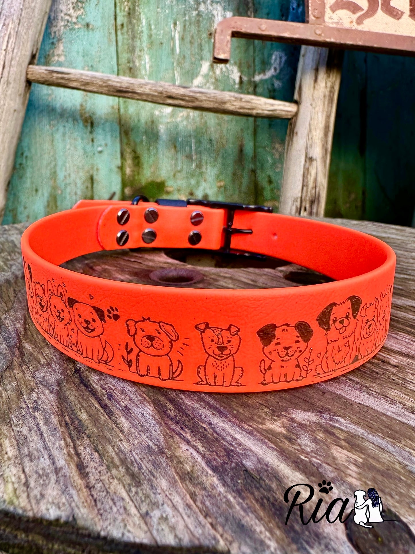 Halsband Laser mit Muster