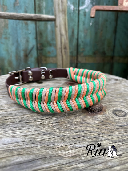 Biothane Halsband mit Paracord