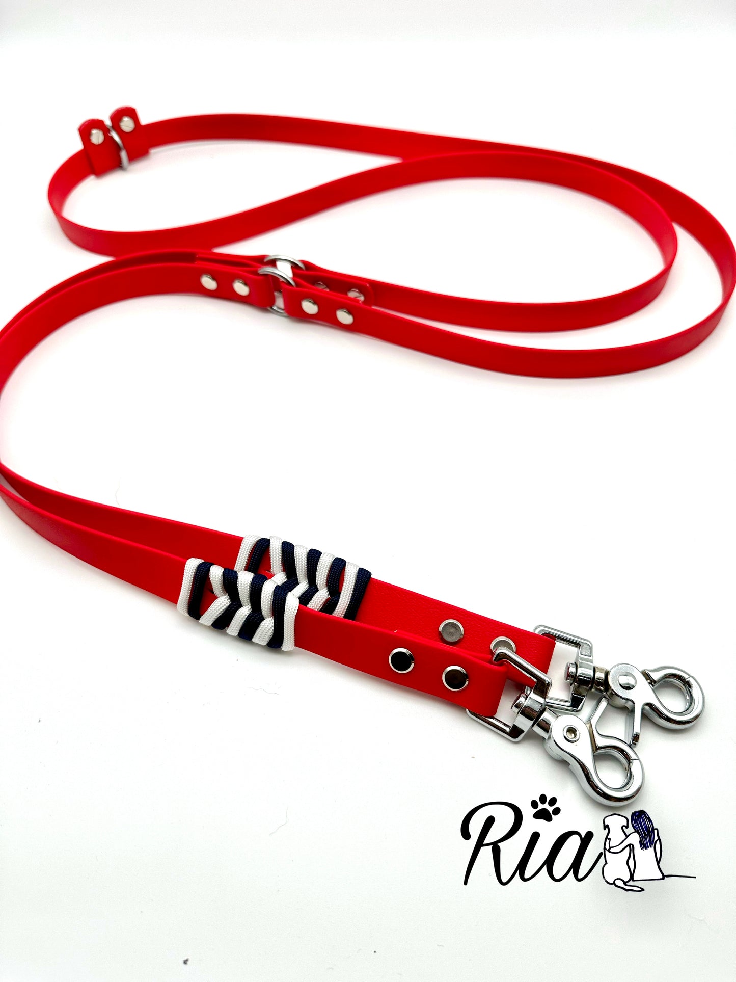 Biothane Leine mit Paracord